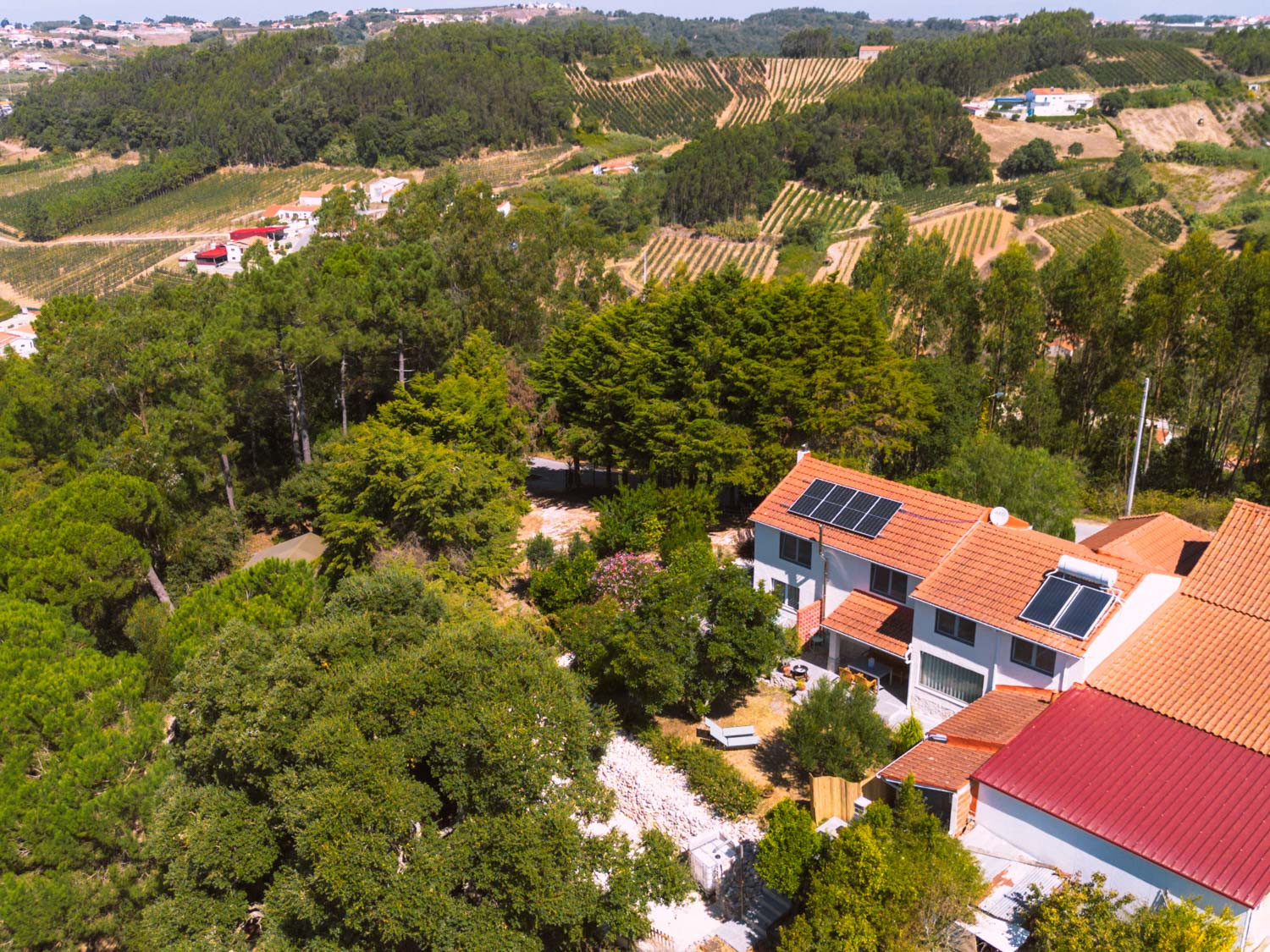 Hillside view of houses with solar panels surrounded by dense green trees and cultivated land.
