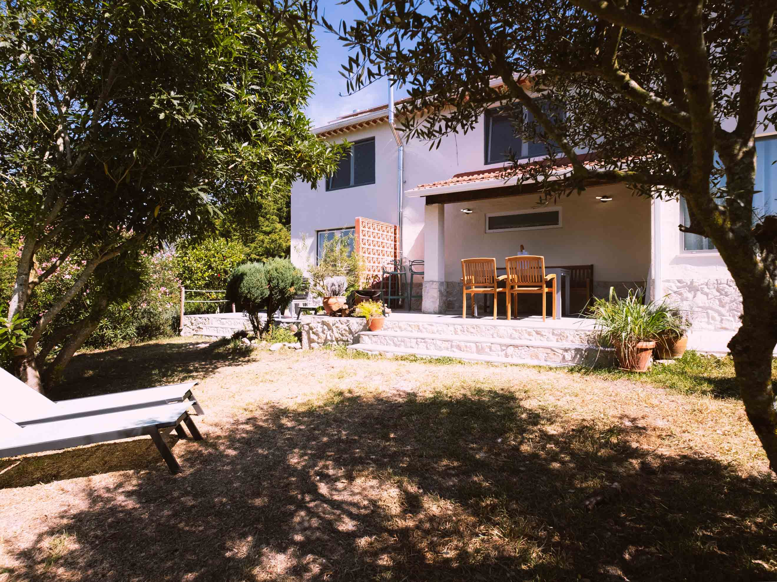 Sunlit backyard with stone patio, wooden table and chairs, surrounded by trees and plants.