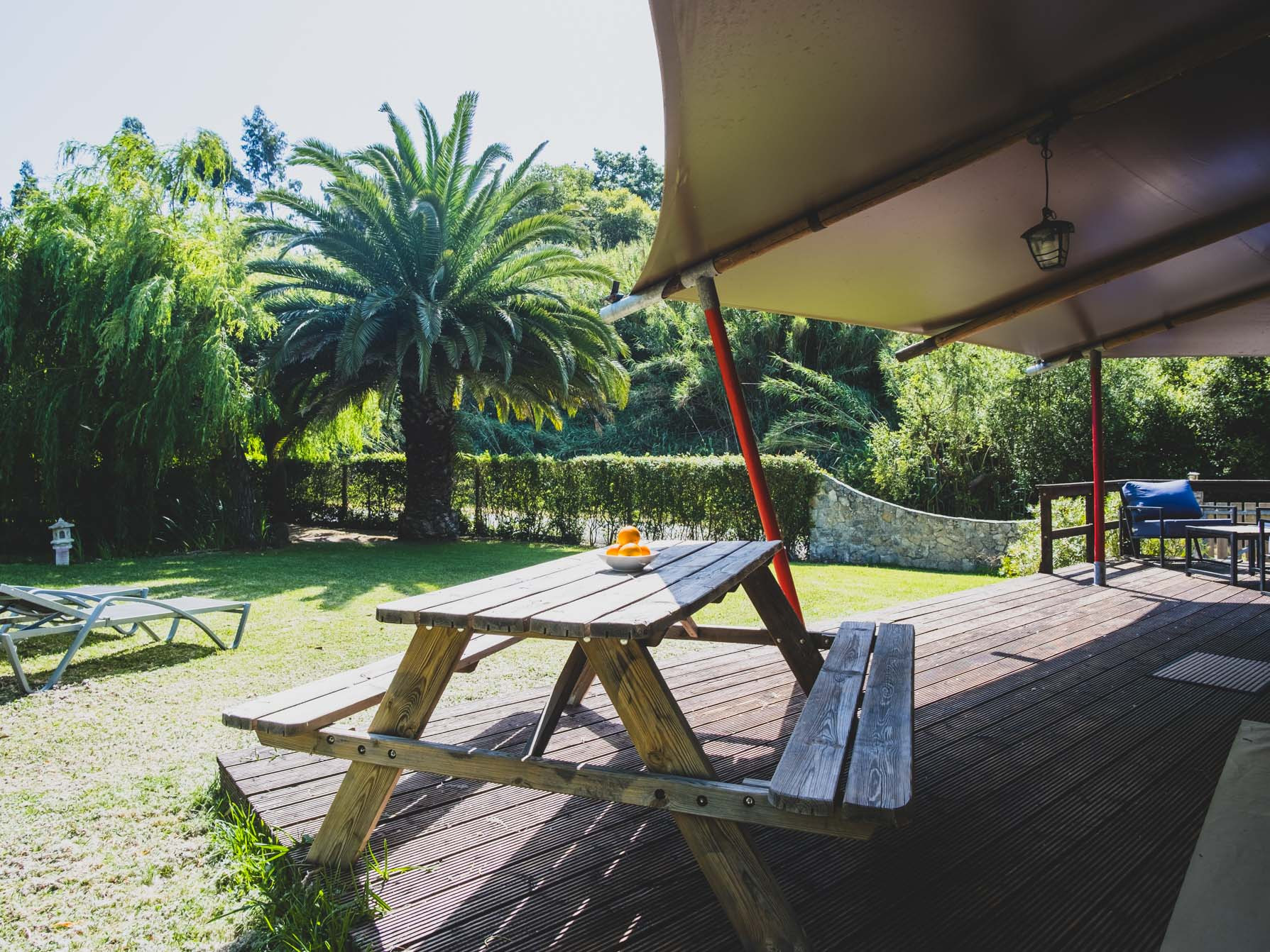 Wooden picnic table with fruit under a tent on wooden decking next to grass and palm tree.