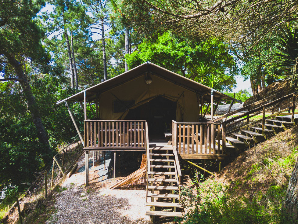 Tent structure elevated on wooden stilts with stairs and balcony surrounded by trees and greenery
