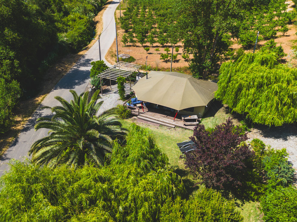 Aerial view of a large tent surrounded by trees and greenery near a paved road.
