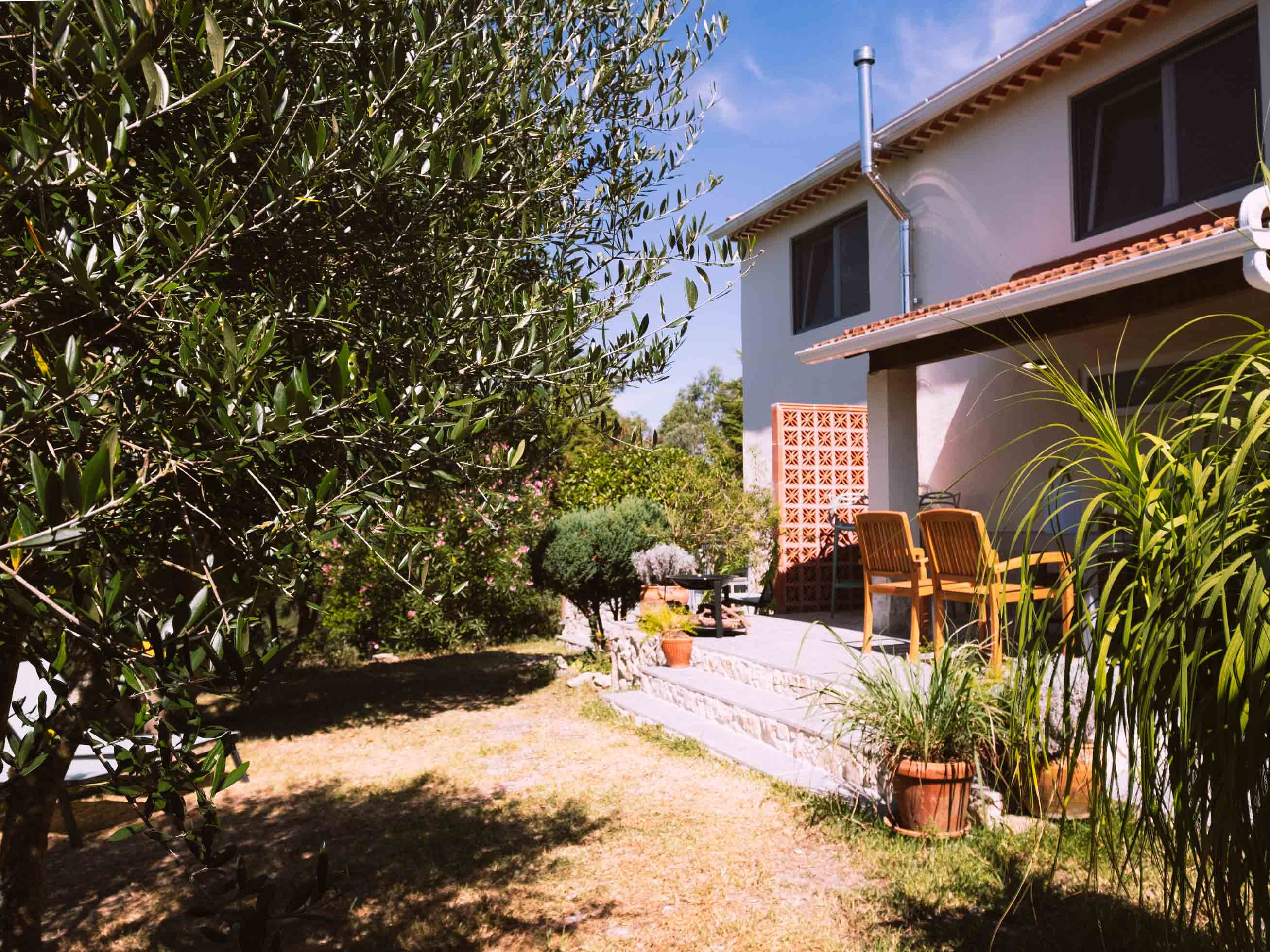 Garden area with trees, plants, stone steps, wooden chairs, and part of a white building under a blue