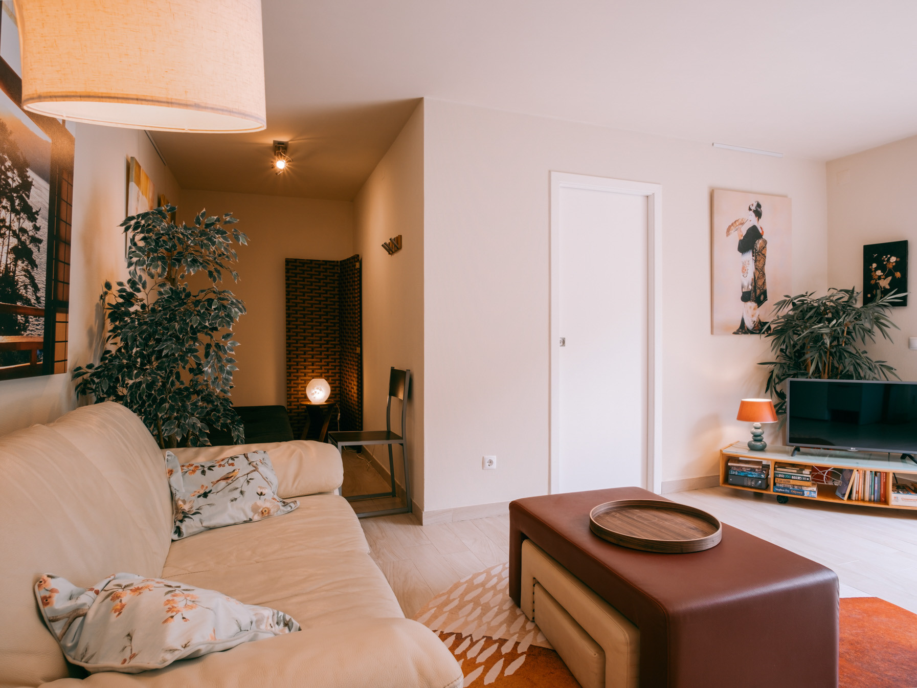 Bright living room with beige sofa, patterned cushions, brown ottoman, TV, plants, and wall artwork.