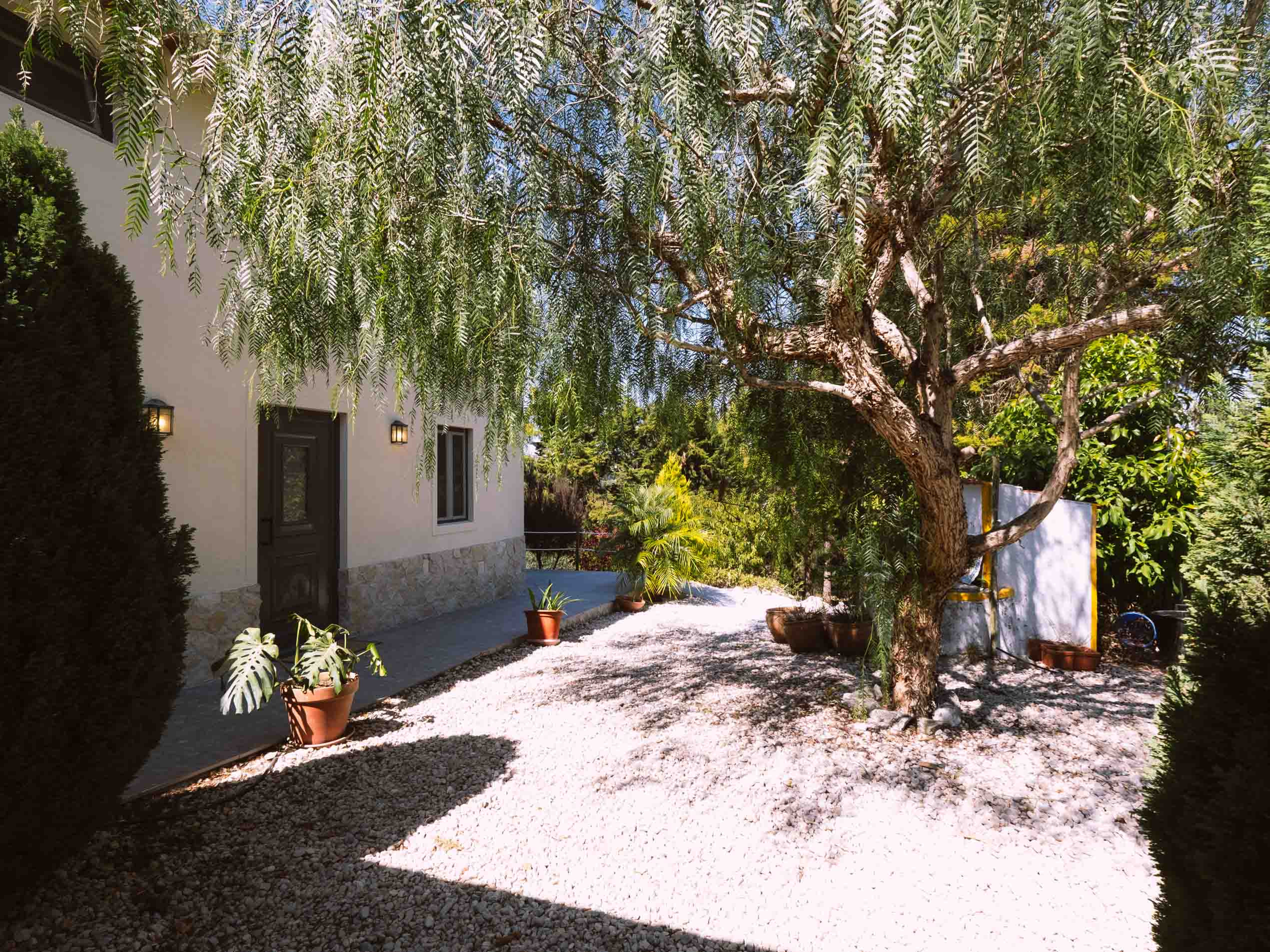 Garden area with a tree, plants in pots, gravel ground, adjacent to a light-colored building with a door