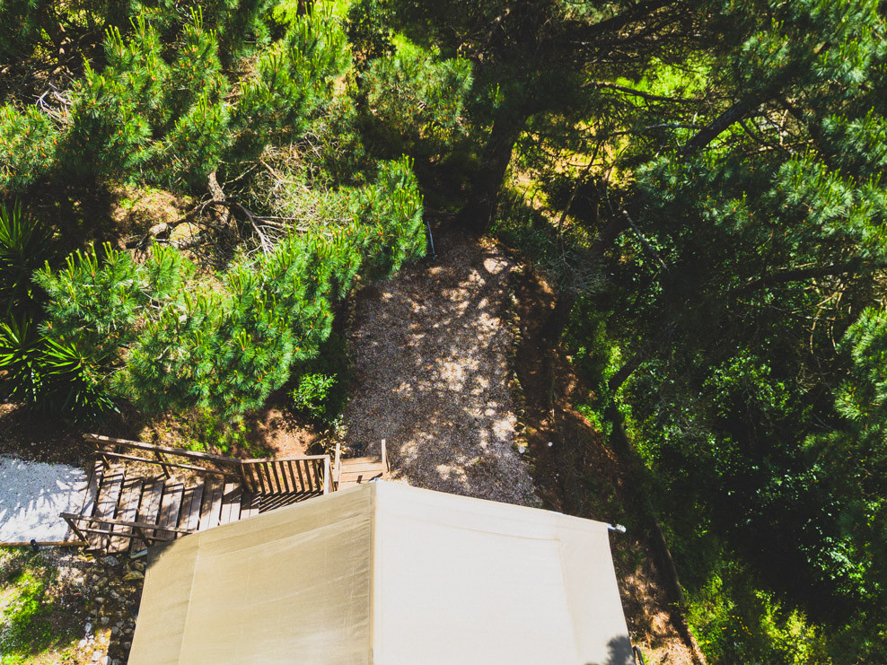 View downward onto a clearing surrounded by green trees with wooden steps leading down