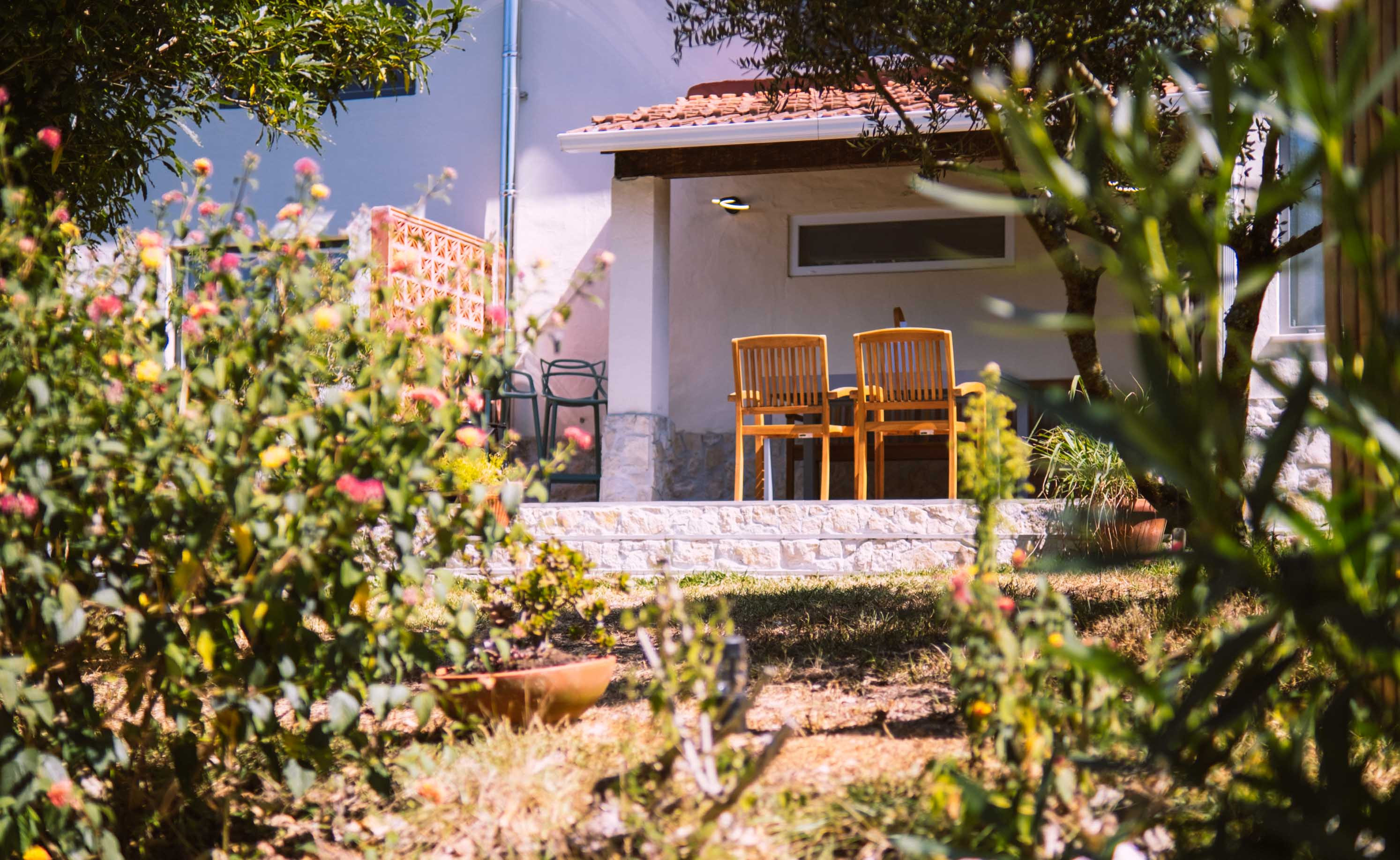 Garden view with plants and trees facing a terrace with wooden chairs and a white wall house.