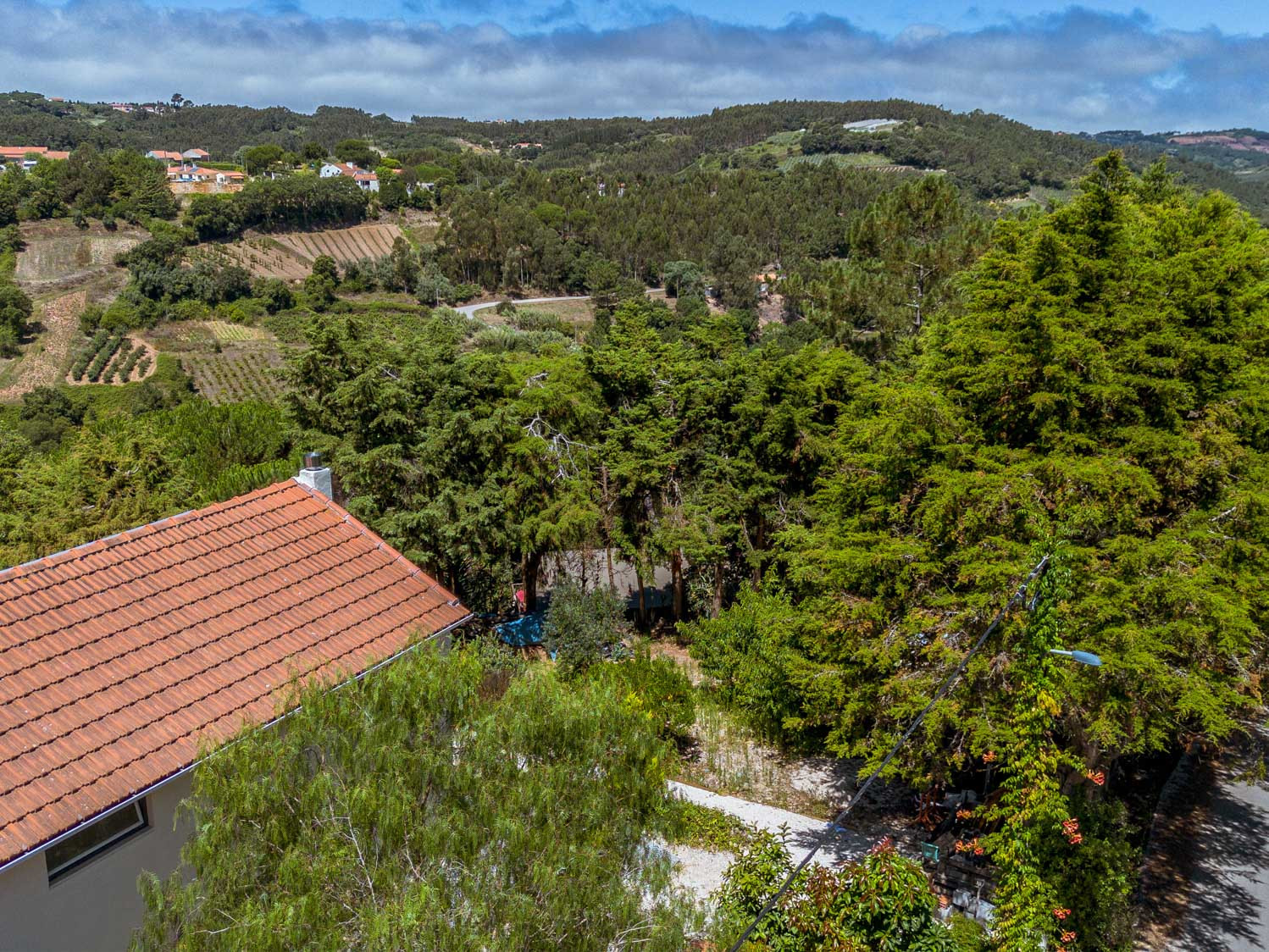 View of a countryside landscape with trees, hills, and a building with a tiled roof.