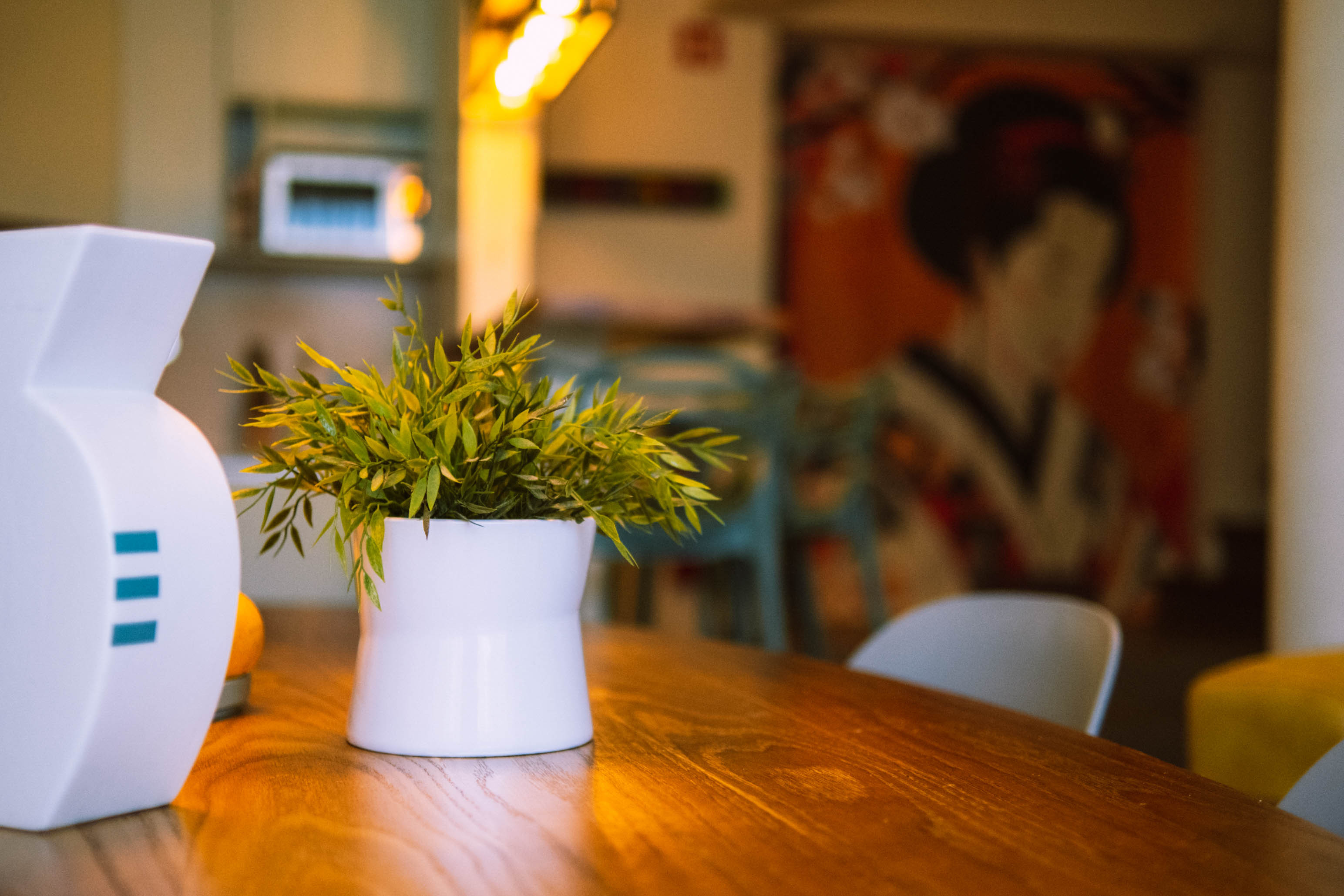Green leafy plant in a white pot on a wooden table with blurred background wall art.